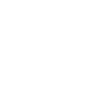 Bike Lane Network